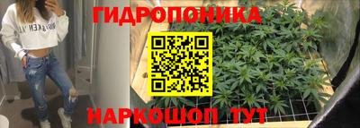 МДПВ Краснознаменск