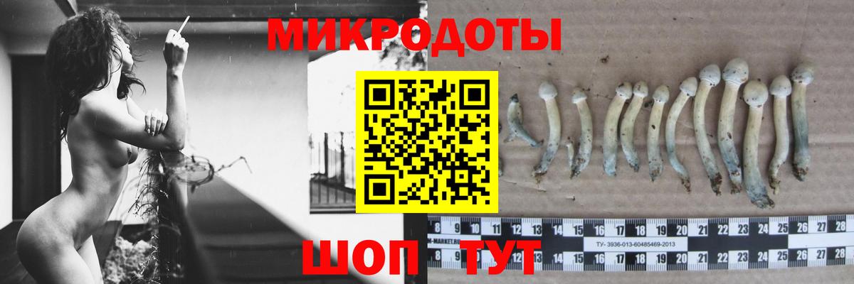 Донской  Псилоцибиновые грибы ЛСД  Вход с VPN 